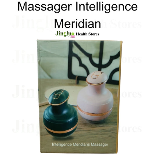 Massager Intelligence Meridians